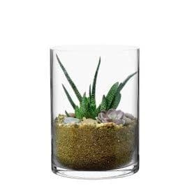 CYS Excel Cylinder Glass Vase