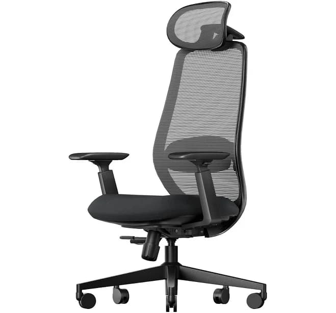 EC200 Ergonomic Mesh Office Chair