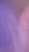 Video frame trigger
