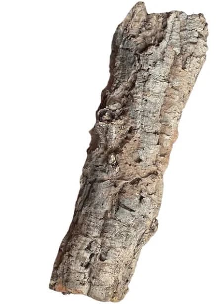 Premium Cork Bark Tubes for Terrarium, Large