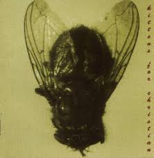 Kittens For Christian – Building A Socialist Work Ethic – CD (Album), 1996 [r2650208] | Discogs