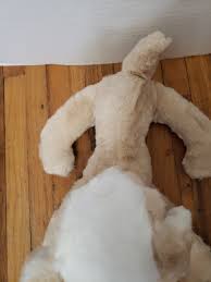 Vintage Tan Floppy Hound Dog Stuffed Animal 1950/60's | eBay