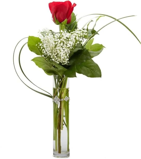 Single Red Rose with Babies Breath