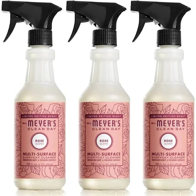 Allpurpose cleaner spray limited edition mint 16 fl oz