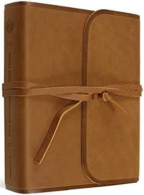 ESV Single Column Journaling Bible (Natural Leather, Brown, Flap with Strap)