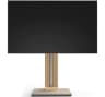 Video frame trigger