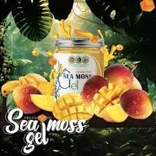 Wildcrafted Organic Irish Sea Moss Gel Mango Flavor. No Preservatives. 16 Oz