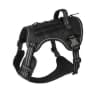 Video frame trigger