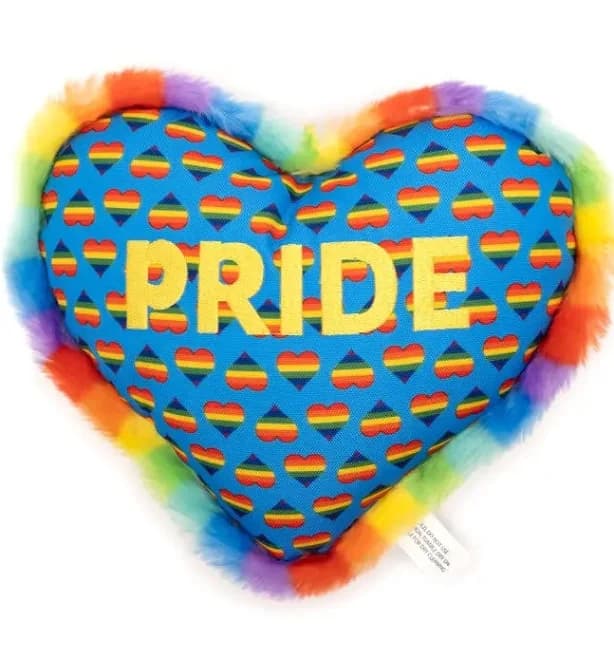 The Worthy Dog Pride Dog Toy