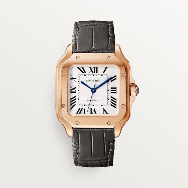 Cartier Santos de Cartier Watch wgsa0028