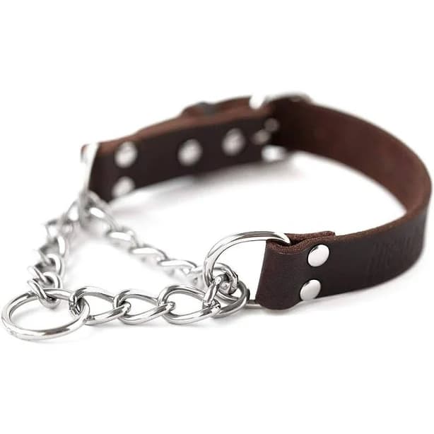 Mighty Paw Leather Martingale Training Collar
