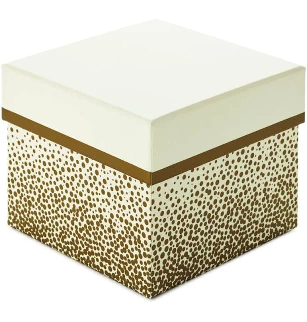 Hallmark 5" Square Champagne Bubbles on Ivory Gift Box