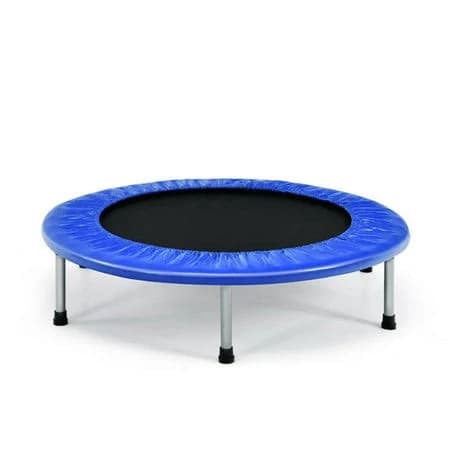 Bed Bath & Beyond Mini Fitness Trampoline