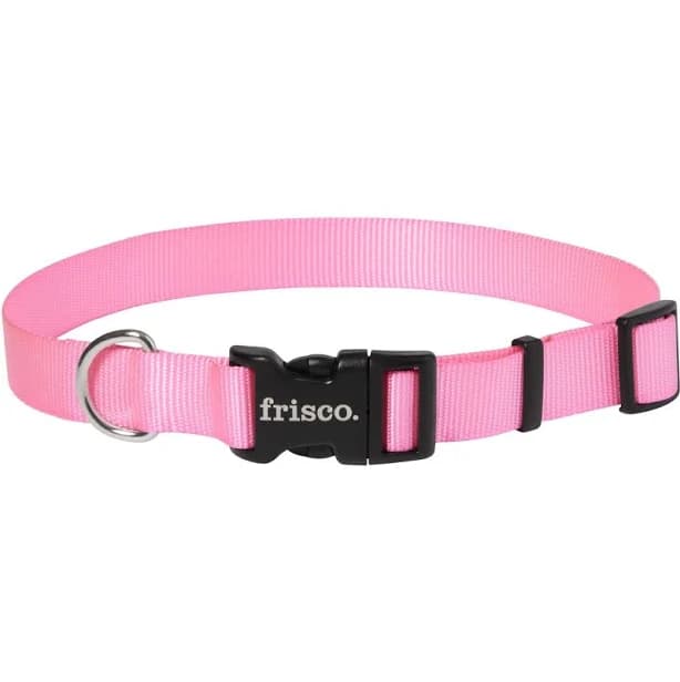 Frisco Solid Nylon Dog Collar