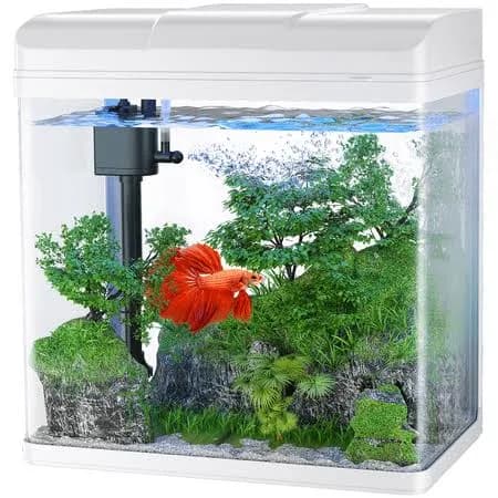 Pondon 1.7 Gallon Glass Fish Tank