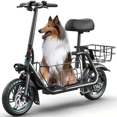 Mastgoal 550W Electric Scooter with Seat