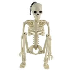 16 inch Halloween Skeleton Oversized Poseable Human Full Life Size Party Decor | eBay