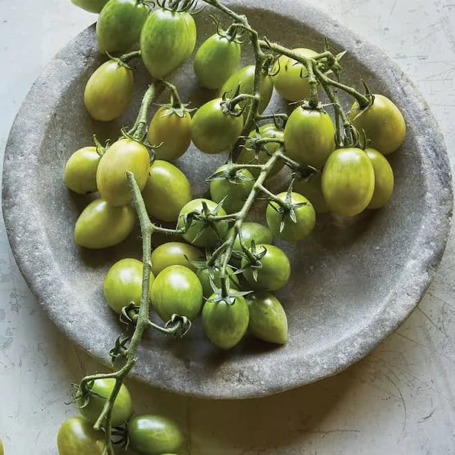 Burpee Tomato Green Envy 40 Seeds
