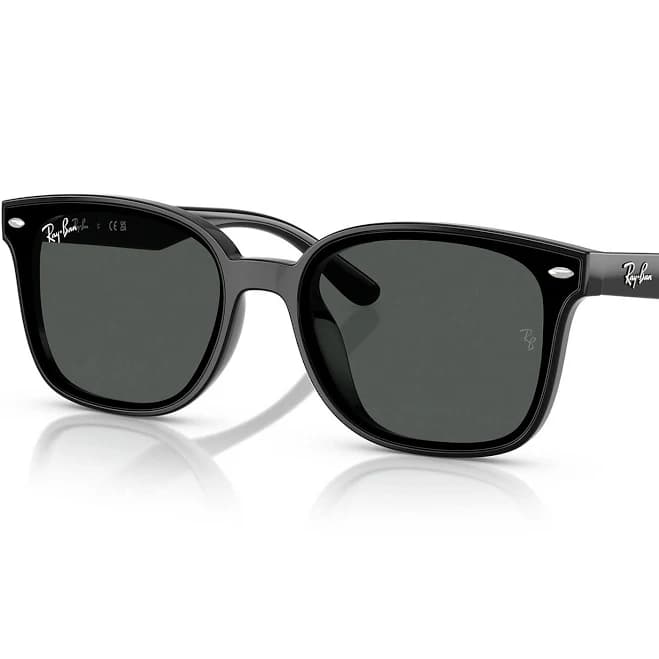 Ray Ban RB4461D Sunglasses