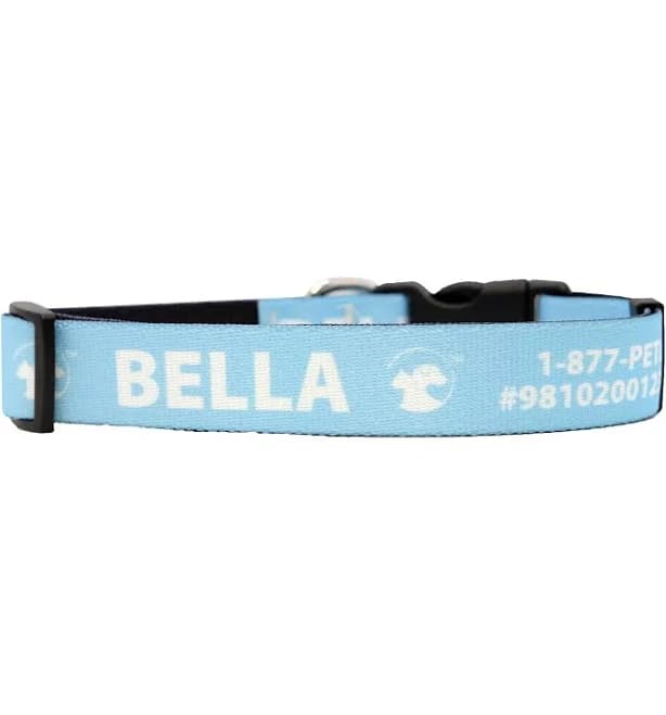 Personalized Jewel-Toned Dog Collars Light Blue / SMALL / PetLink