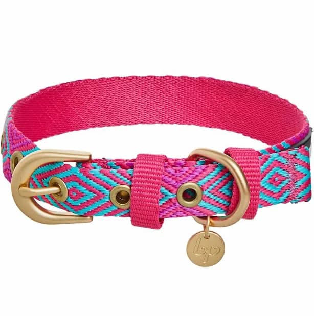 Blueberry Pet Southwestern Tribal Dog Collar Durable Polyester