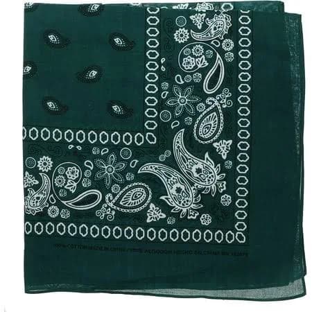 Paisley Bandana Set of 4