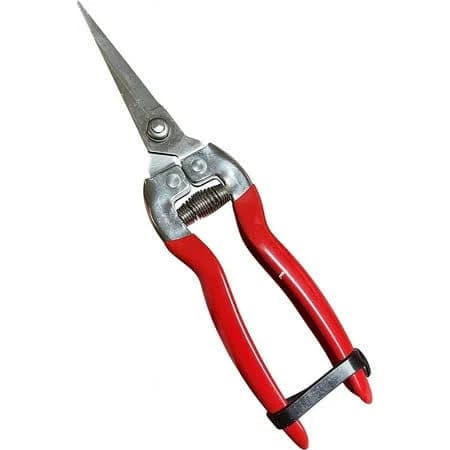 Garden Guru Straight Stainless Steel Pruner