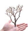 Video frame trigger