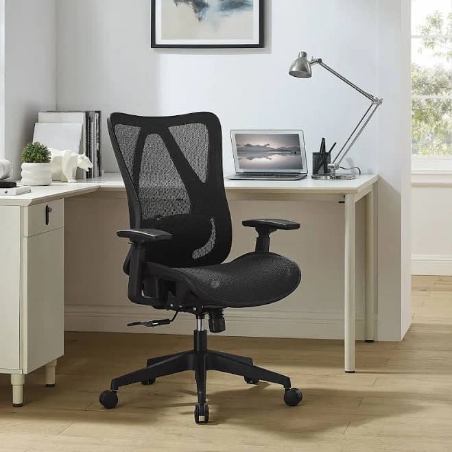 Work Zone Ergonomic Mesh Office Chair