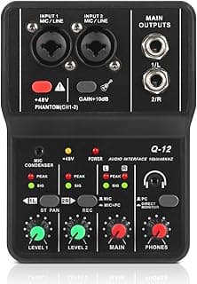 XTUGA USB Audio Interface for PC,Interface for Recording Music Computer Recording Audio Interface XLR with 3.55m Microphone Jack, USB Sound Card for Recording Studio, Ultra-low Latency Plug&Play, Q-12