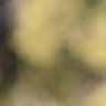 Video frame trigger