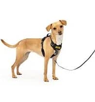 PetSafe Easy Walk Comfort No- Pull Dog Harness