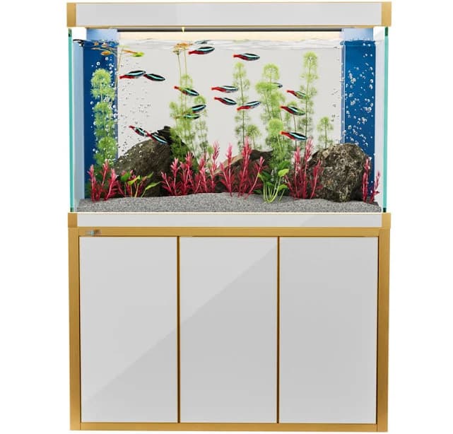 Aqua Dream 175 Gallon All-in-one Aquarium
