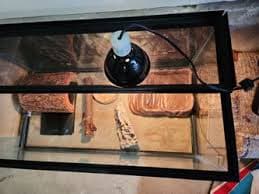 Large Reptile Tank With Accessories for Sale in Marysville, WA - OfferUp