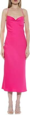 Alexia Admor Dionee Draped Cowl Neck Midi Dress | Nordstromrack