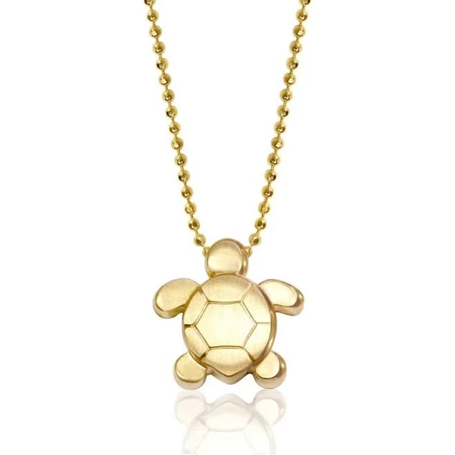 Alex Woo Seasons Sea Turtle Charm Necklace