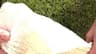 Video frame trigger