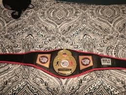 Nick Cannon "Original" Wild N Out Championship Belt for Sale in Miramar, FL - OfferUp