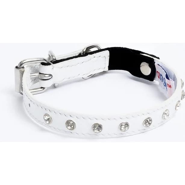 Angel Pet Supplies Athens Rhinestone Cat Collar