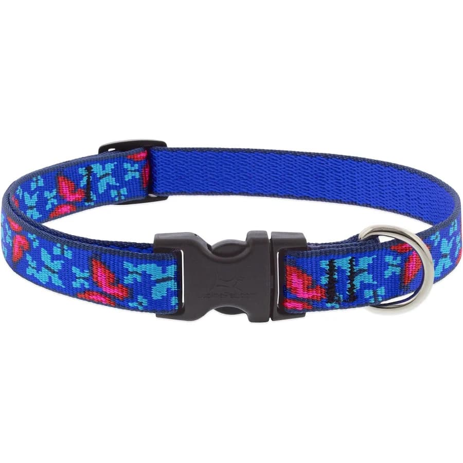 Lupine 3/4" Adjustable Collar Social Butterfly