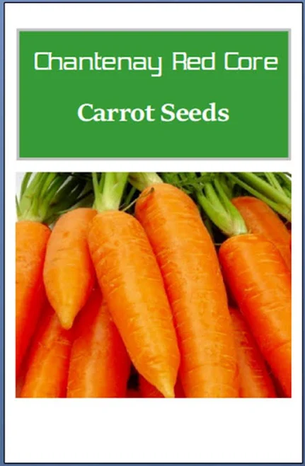 chantenay red core carrot seeds