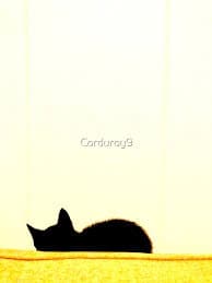 Le Chat Noir" Poster for Sale by Corduroy9 | Redbubble