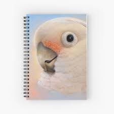 "Goffin Tanimbar Corella Cockatoo" Journal for Sale by lifewithbirds | Redbubble