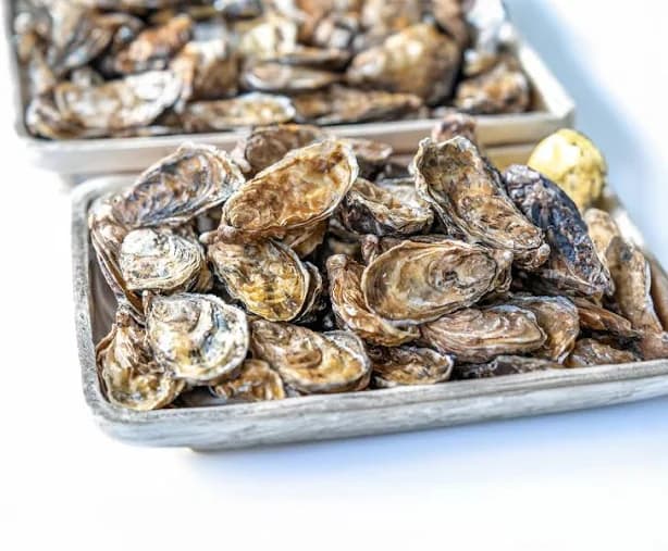 East Coast Oysters! Includes Shucking Knife