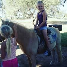 Pony Rides - A Child's Joy Laveen AZ
