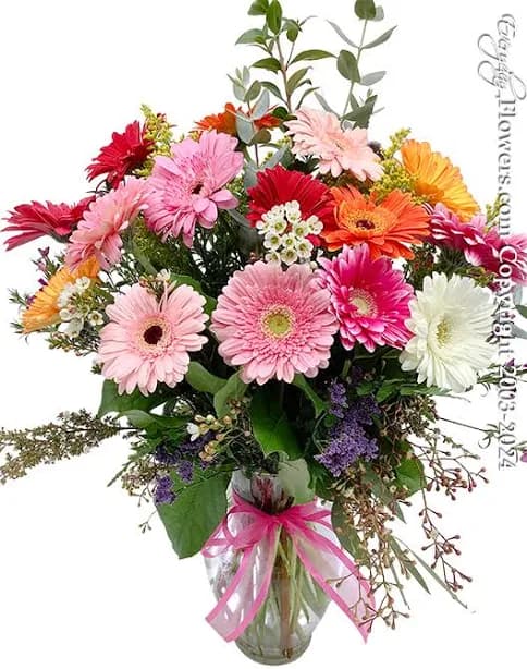 Gerbera Daisies Fields Bouquet of Daisies