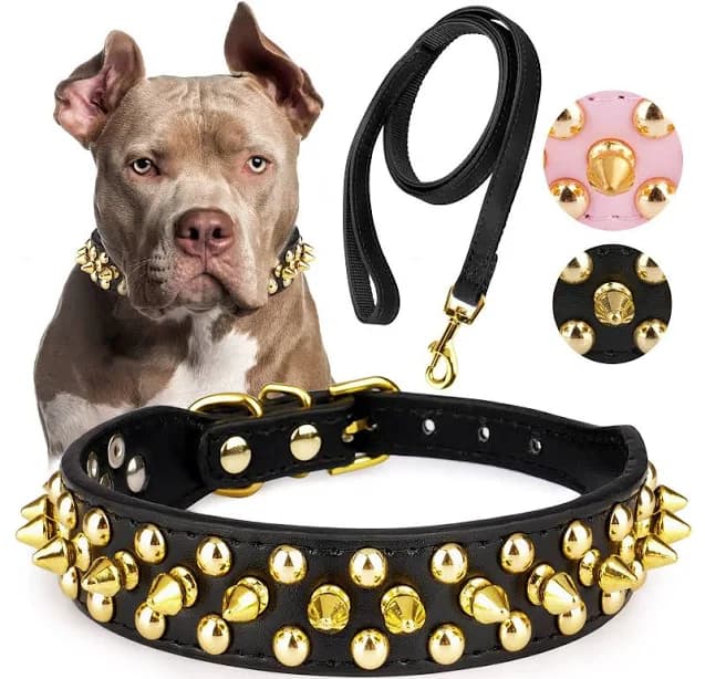 Epesiri Golden Spike Collar for Dogs, Gold Spiked Dog Collar, Durable PU Leather Studded Dog Collar with Leash, Funny Mushrooms