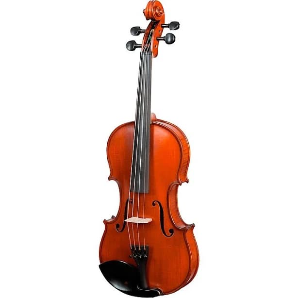 Bellafina Domenico Model Oblong Case/Brazilwood Bow