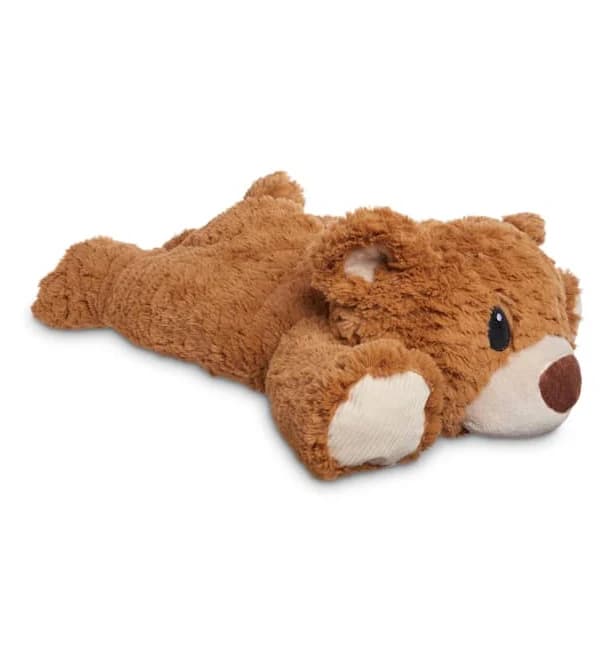 Leaps & Bounds Bearer of Snuggles Bear Plush Dog Toy