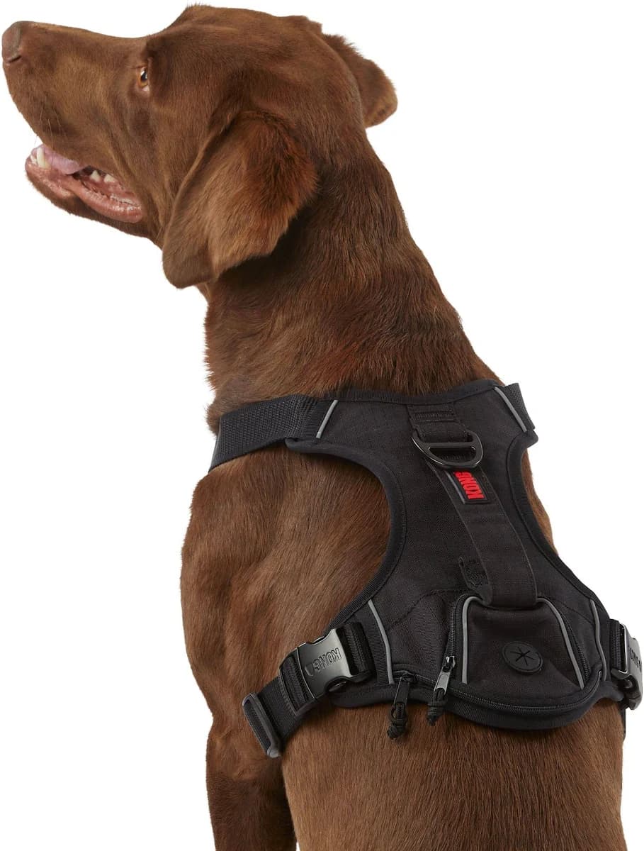 Kong Ultra Durable Waste Bag Harness
